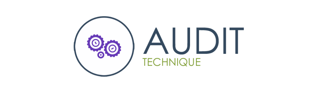 audit technique